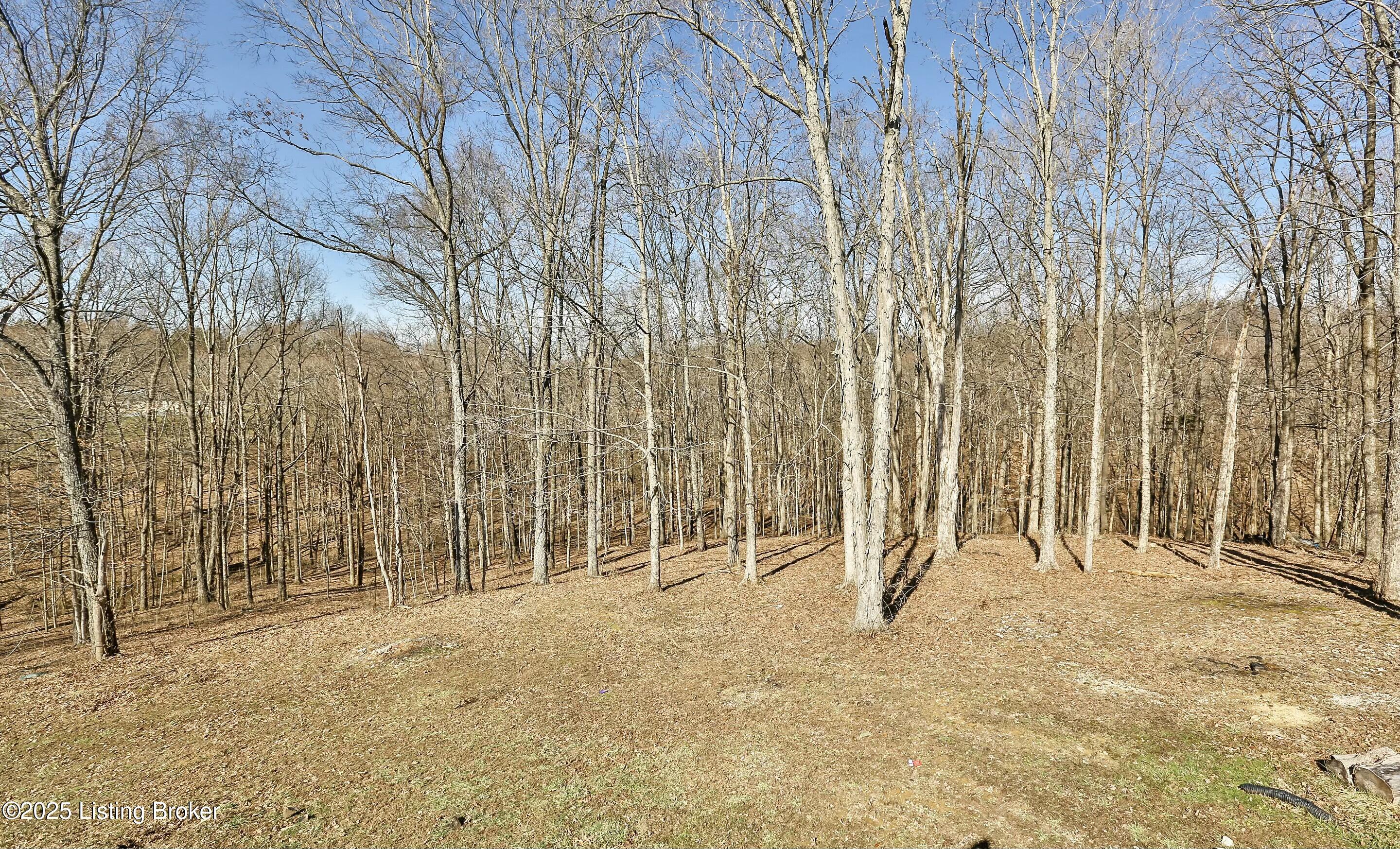 1380 Herndon Rd, Lawrenceburg, Kentucky image 46
