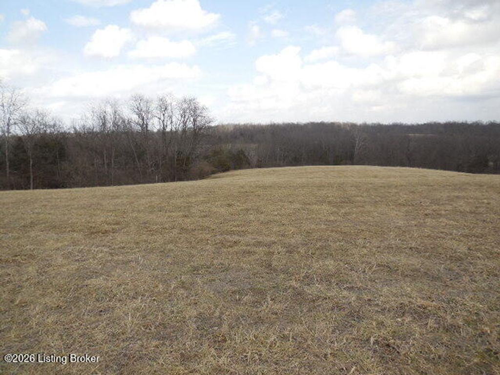 Photo of 1000 Mount Olivet Rd, La Grange, KY 40031 (MLS # 1709530)
