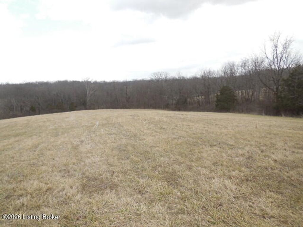 Photo of 1000 Mount Olivet Rd, La Grange, KY 40031 (MLS # 1709530)