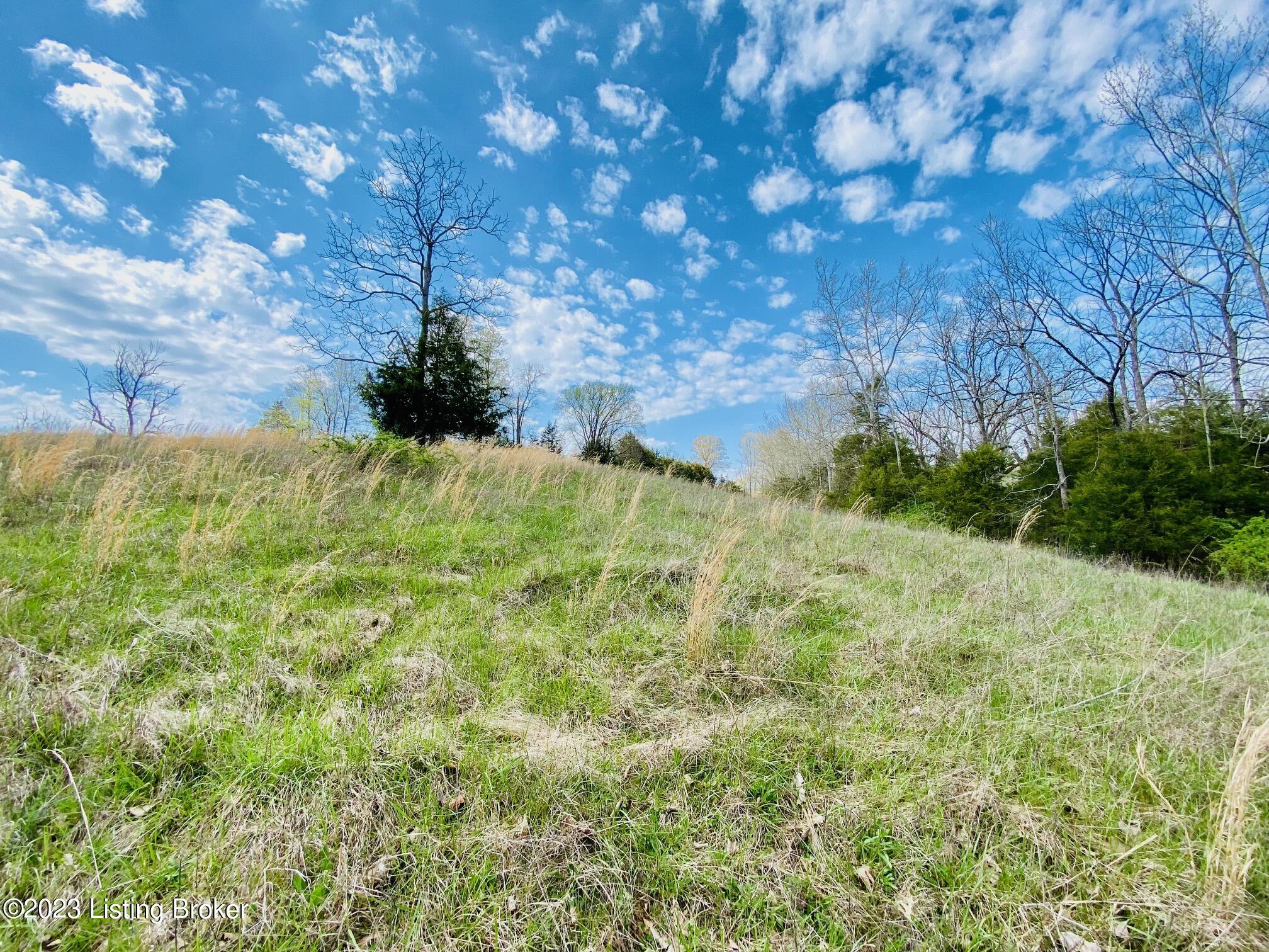 Lot#19 East Fork Rd, Harrodsburg, Kentucky image 2