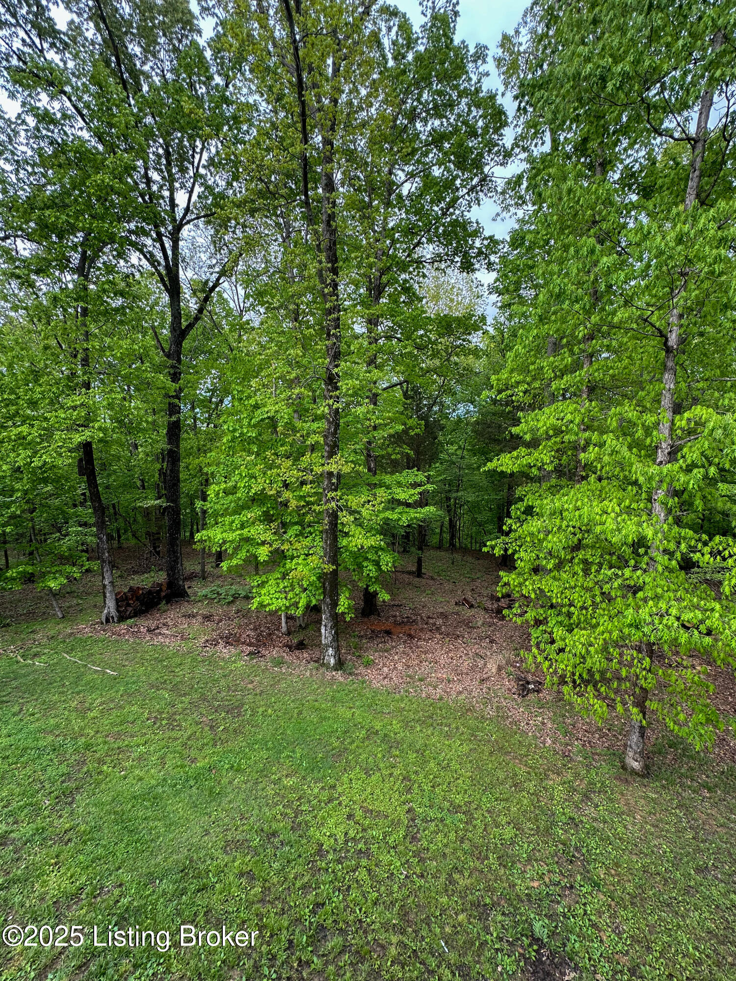 68 Lonnie Lawson Ct, Brandenburg, Kentucky image 14
