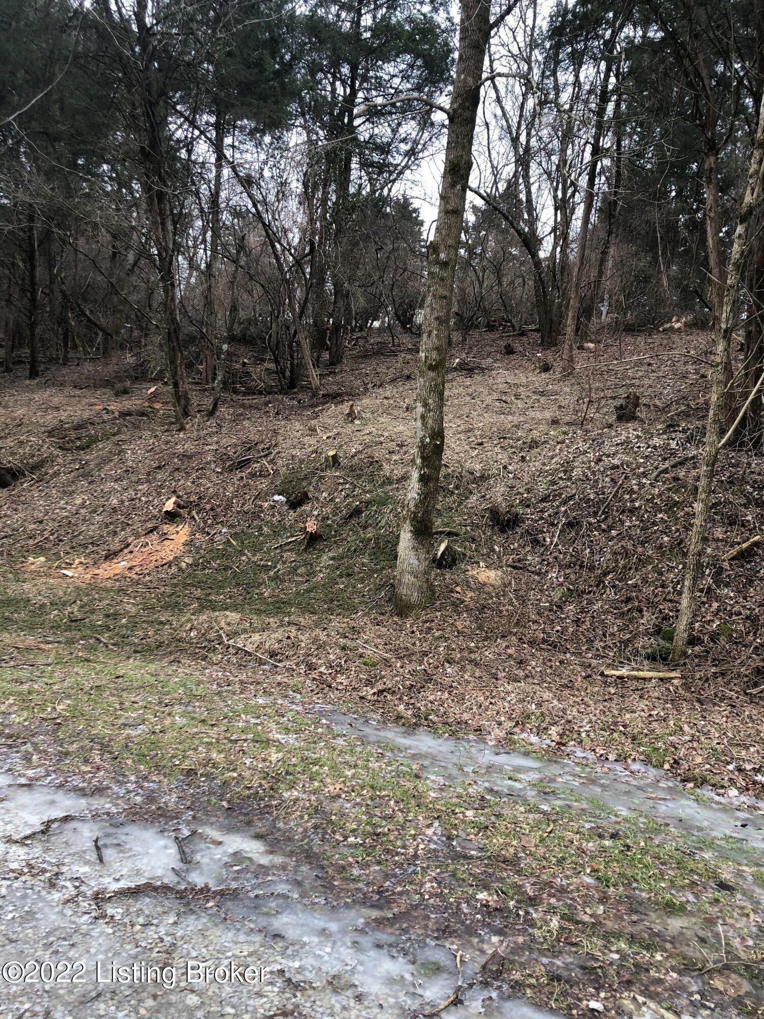 Lot 258A Cedarmore Rd, Bagdad, Kentucky image 11