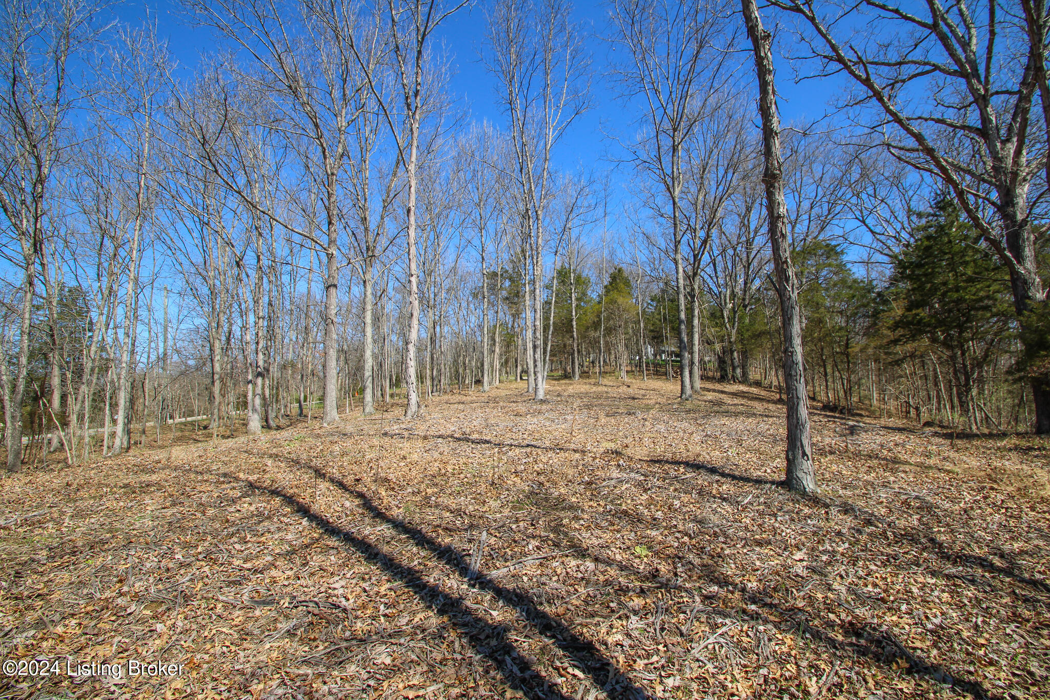 2011 W Hwy 524 #TRACT 2, La Grange, Kentucky image 8