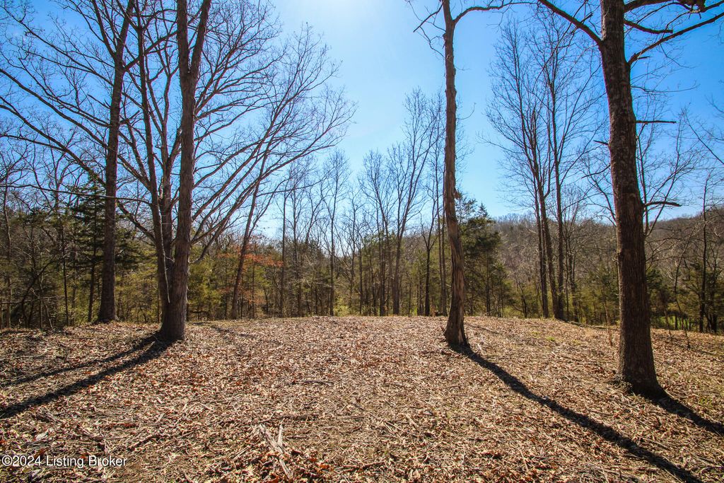 Photo of 2011 W Hwy 524 #TRACT 2, La Grange, KY 40031 (MLS # 1657521)
