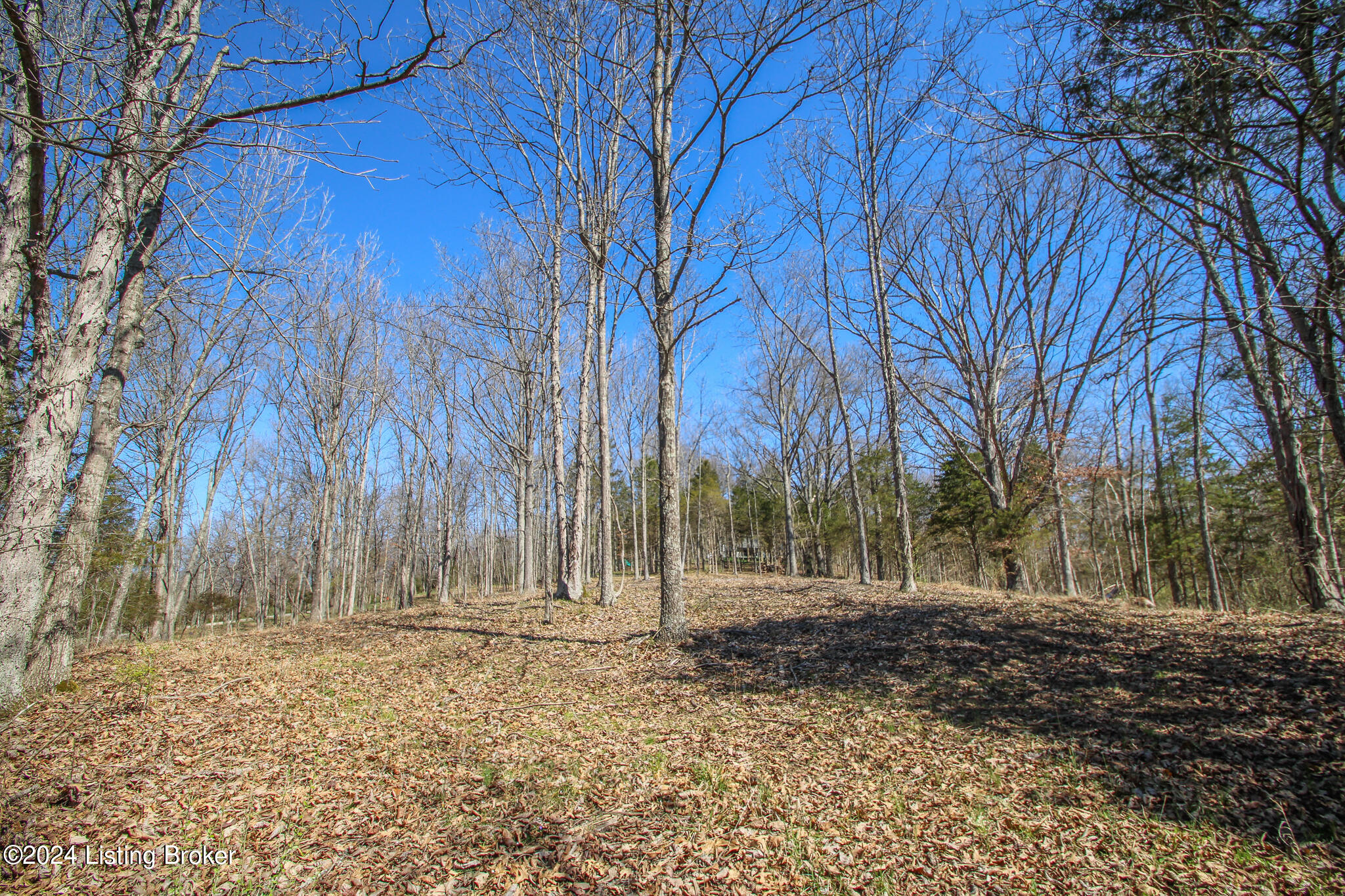 2011 W Hwy 524 #TRACT 2, La Grange, Kentucky image 7