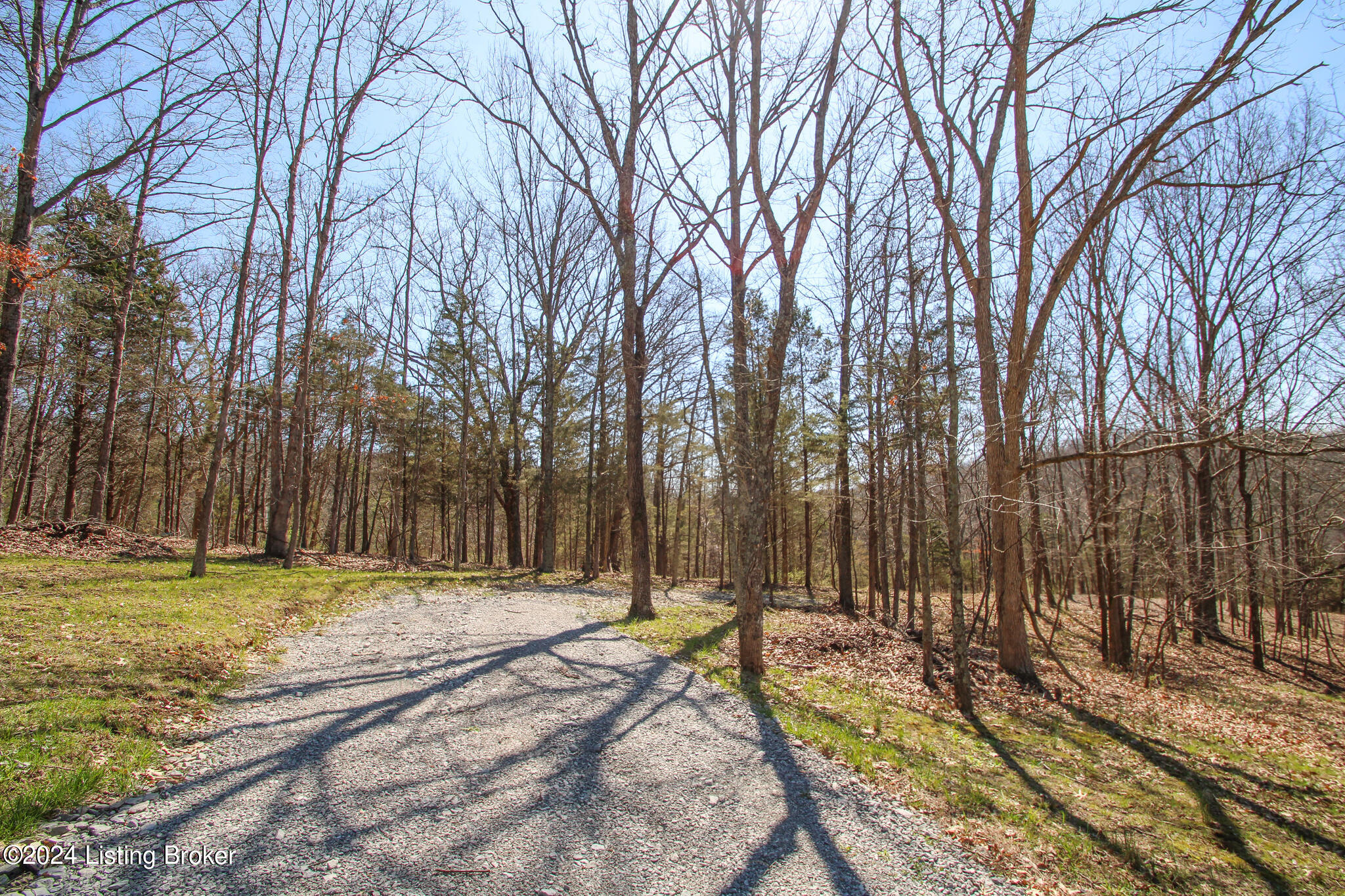 2011 W Hwy 524 #TRACT 2, La Grange, Kentucky image 4