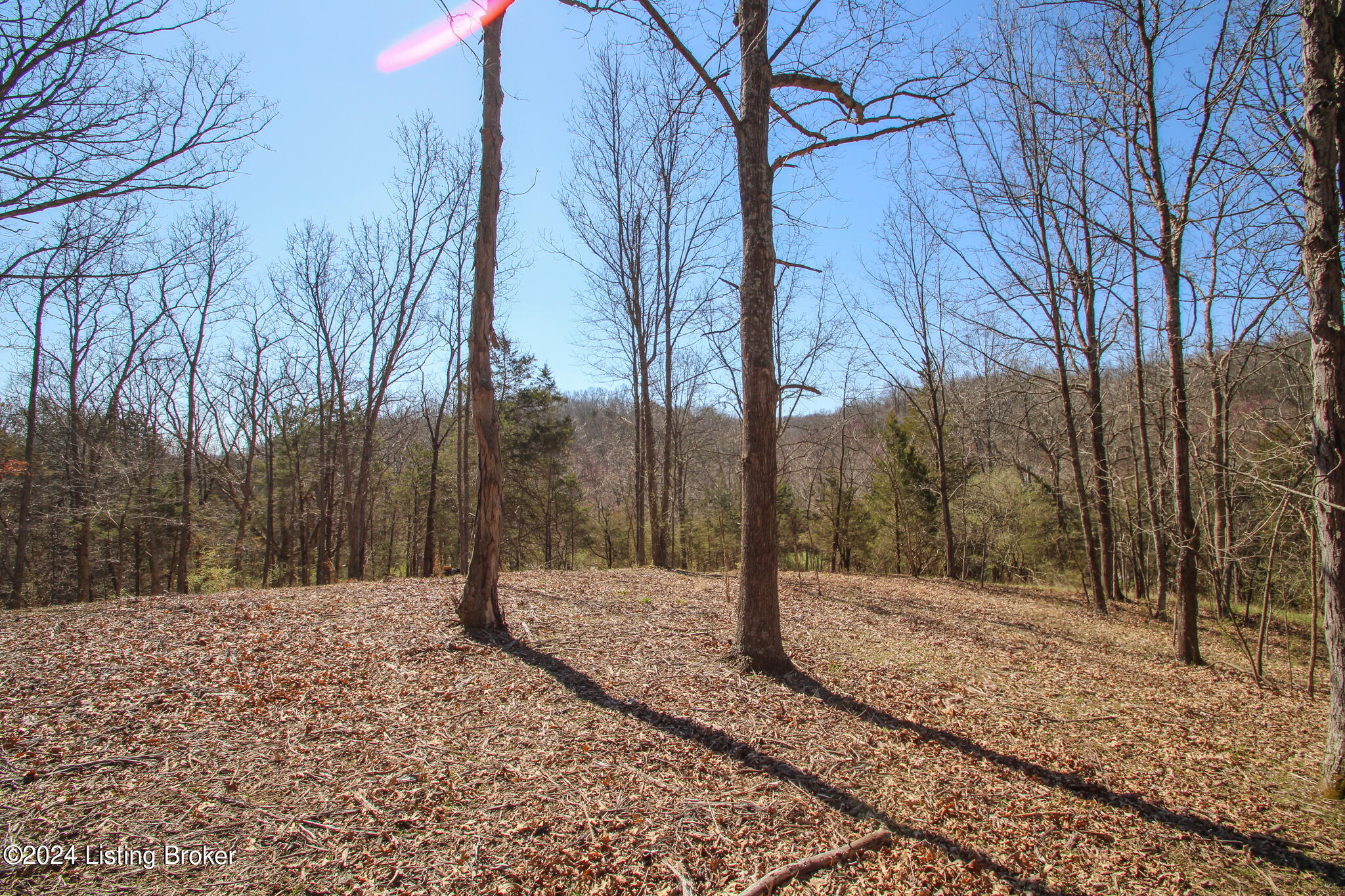 2011 W Hwy 524 #TRACT 2, La Grange, Kentucky image 6
