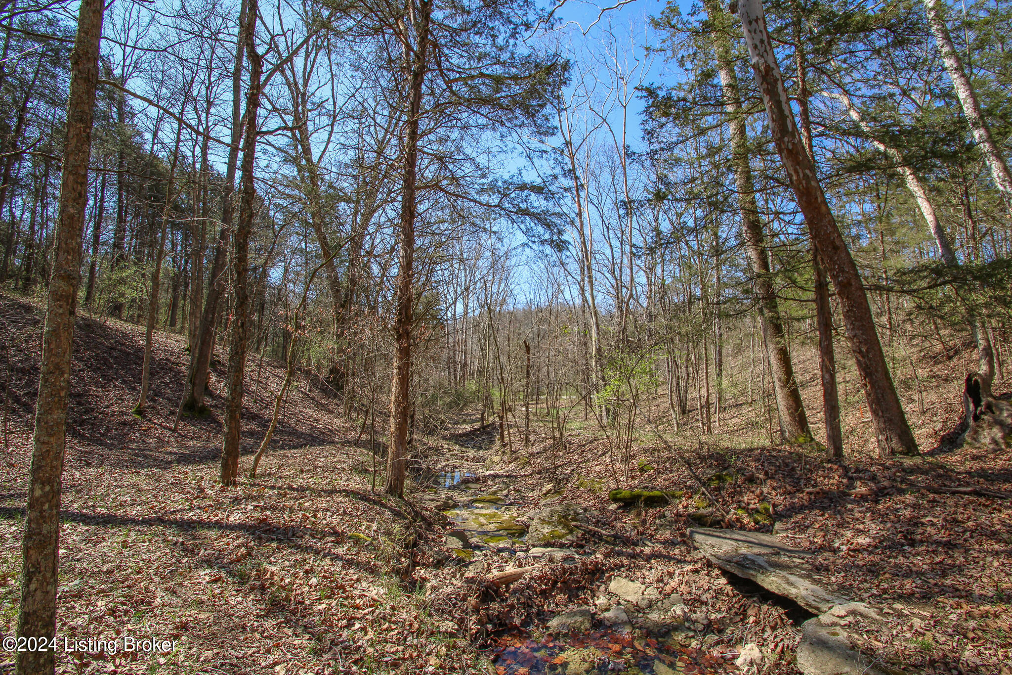 2011 W Hwy 524 #TRACT 2, La Grange, Kentucky image 10