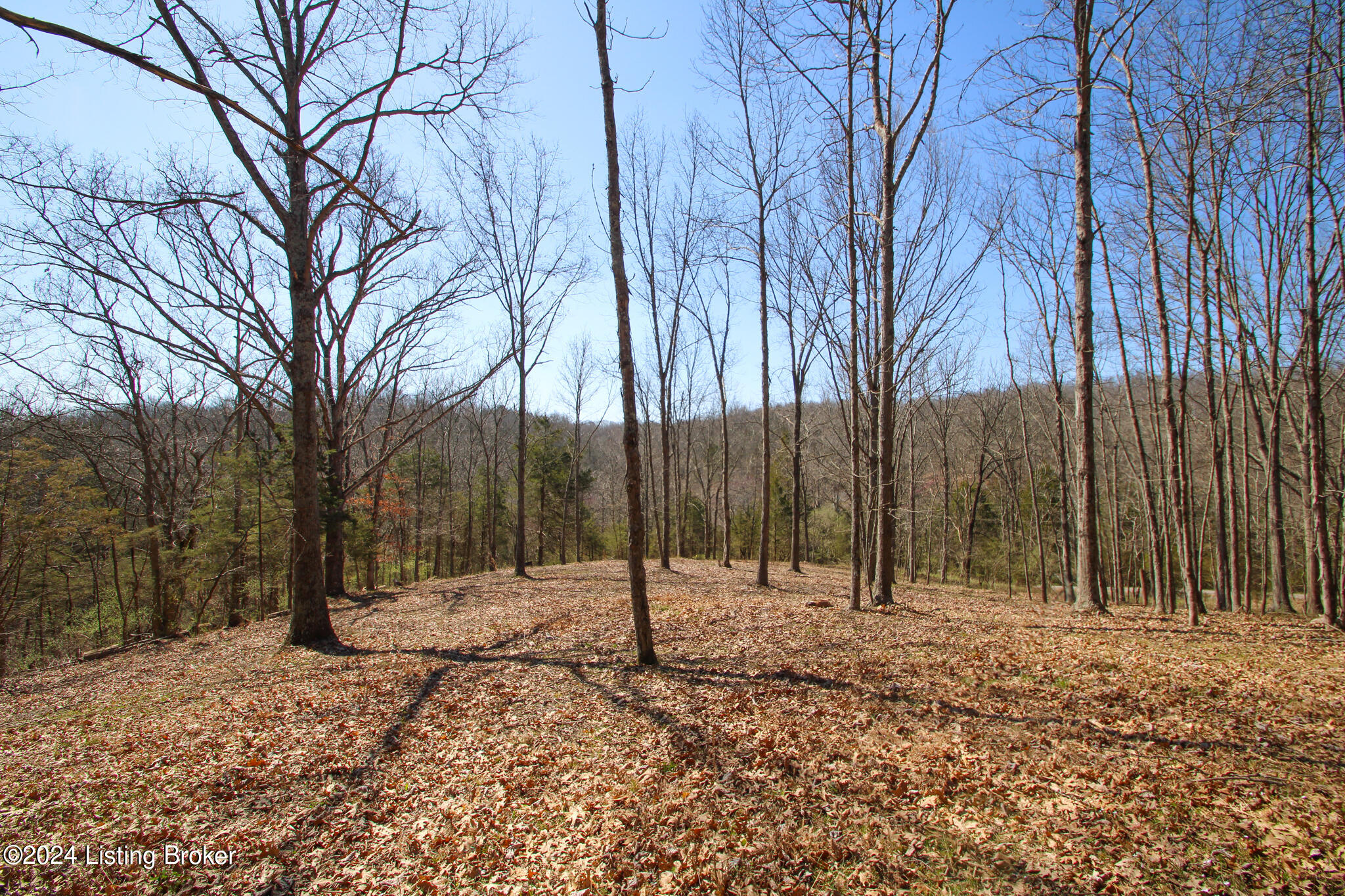 2011 W Hwy 524 #TRACT 2, La Grange, Kentucky image 2