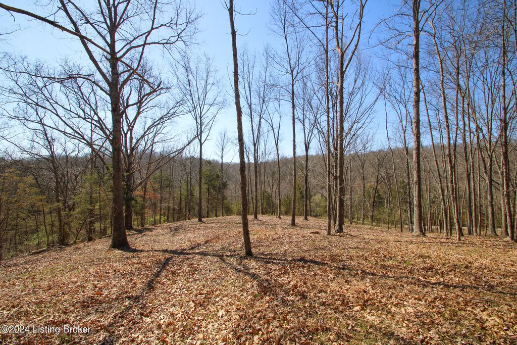 Photo of 2011 W Hwy 524 #TRACT 2, La Grange, KY 40031 (MLS # 1657521)
