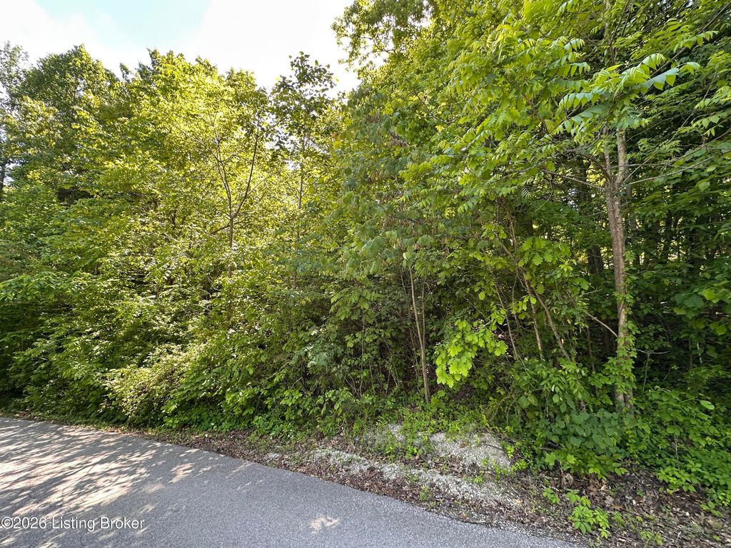 Photo of Lot 114 Rainbow Gardens Lane Ln, McDaniels, KY 40152 (MLS # 1716099)