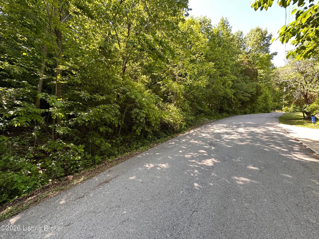 Photo of Lot 114 Rainbow Gardens Lane Ln, McDaniels, KY 40152 (MLS # 1716099)