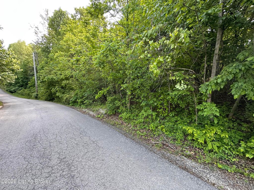 Photo of Lot 114 Rainbow Gardens Lane Ln, McDaniels, KY 40152 (MLS # 1716099)