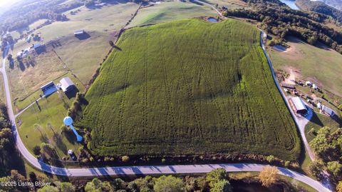 Vacant Land For Sale - 100 Longfall Rd<br/> Cub Run, KY 42729