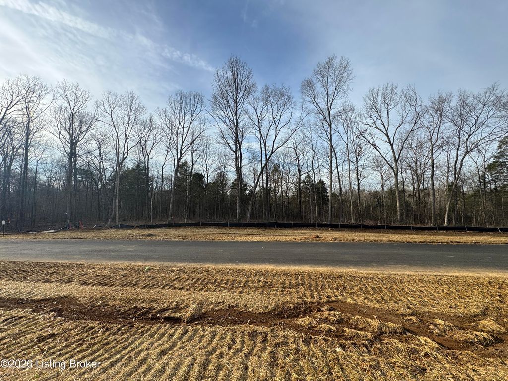 Photo of Lot 10 Lana Rd, Shepherdsville, KY 40165 (MLS # 1706735)