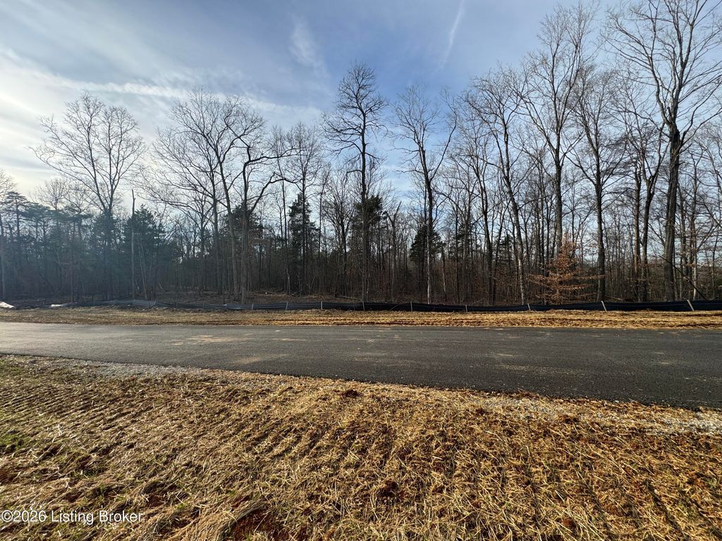 Photo of Lot 10 Lana Rd, Shepherdsville, KY 40165 (MLS # 1706735)