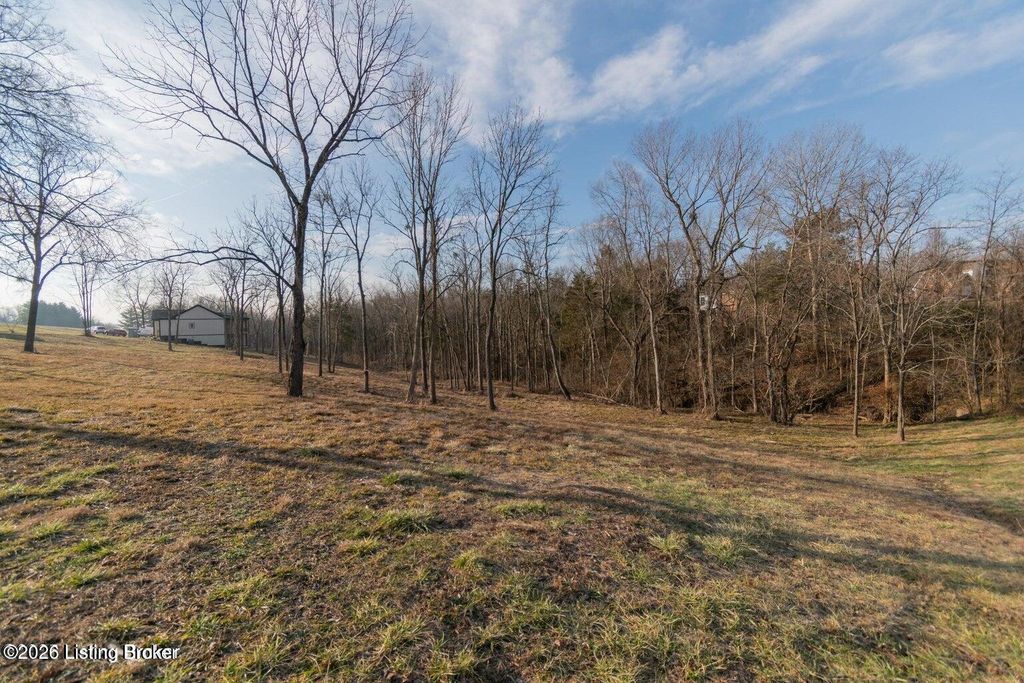 Photo of 46 Sarah Elizabeth Way, Taylorsville, KY 40071 (MLS # 1717000)