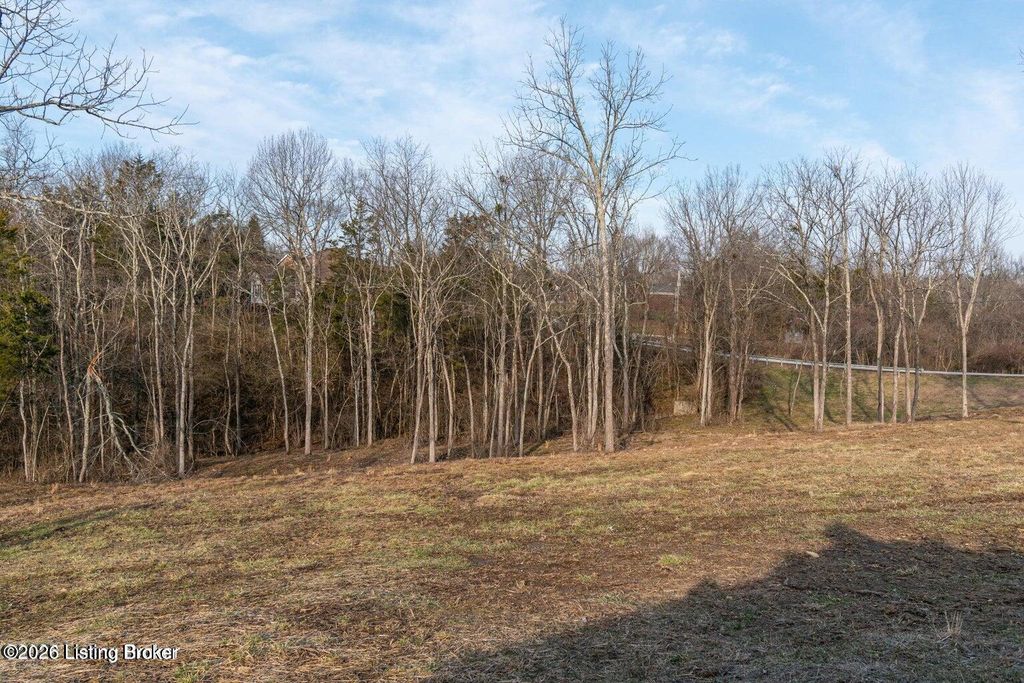 Photo of 46 Sarah Elizabeth Way, Taylorsville, KY 40071 (MLS # 1717000)