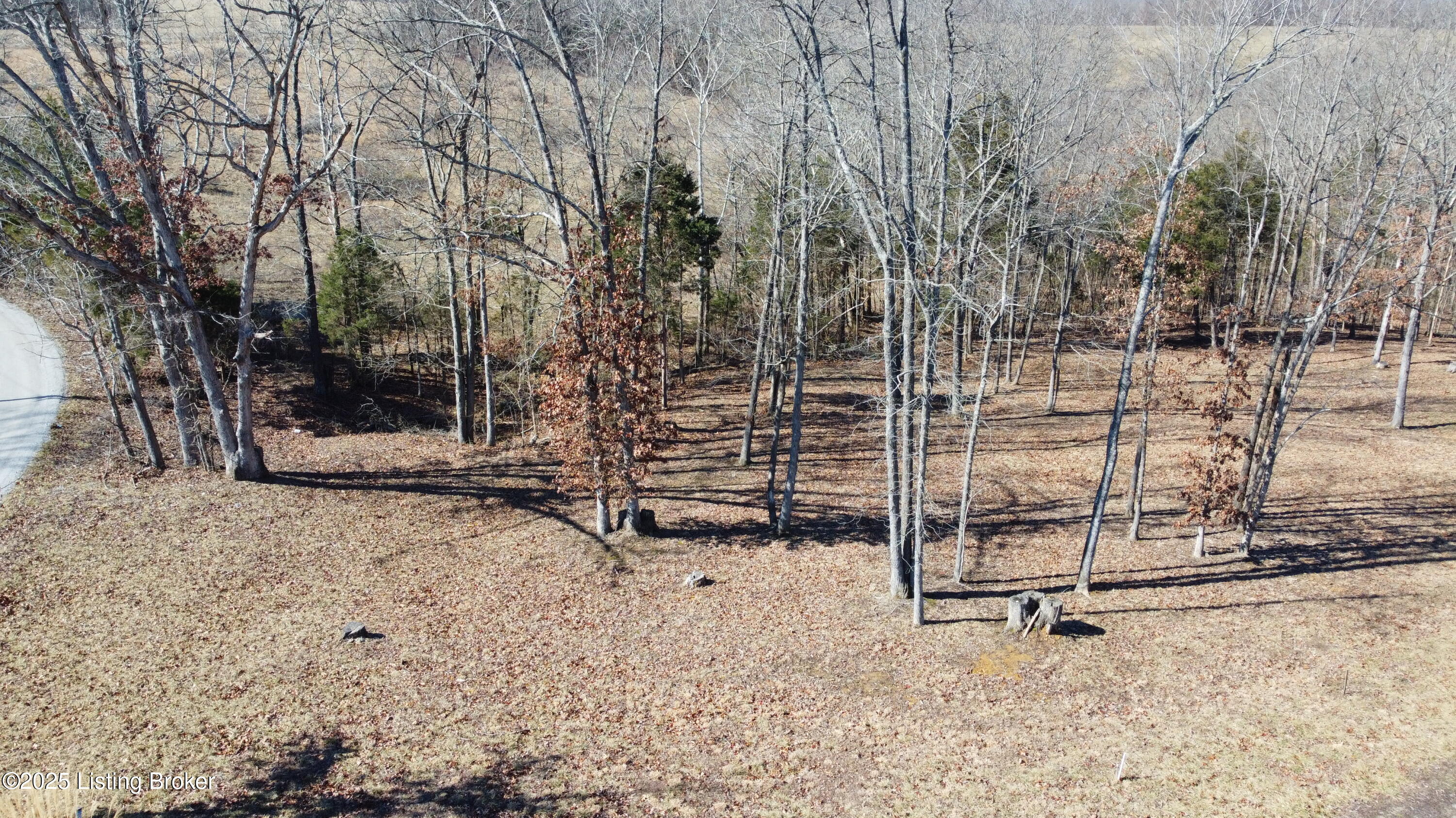 Lot 1 Stargazer Ln, Falls Of Rough, Kentucky image 3