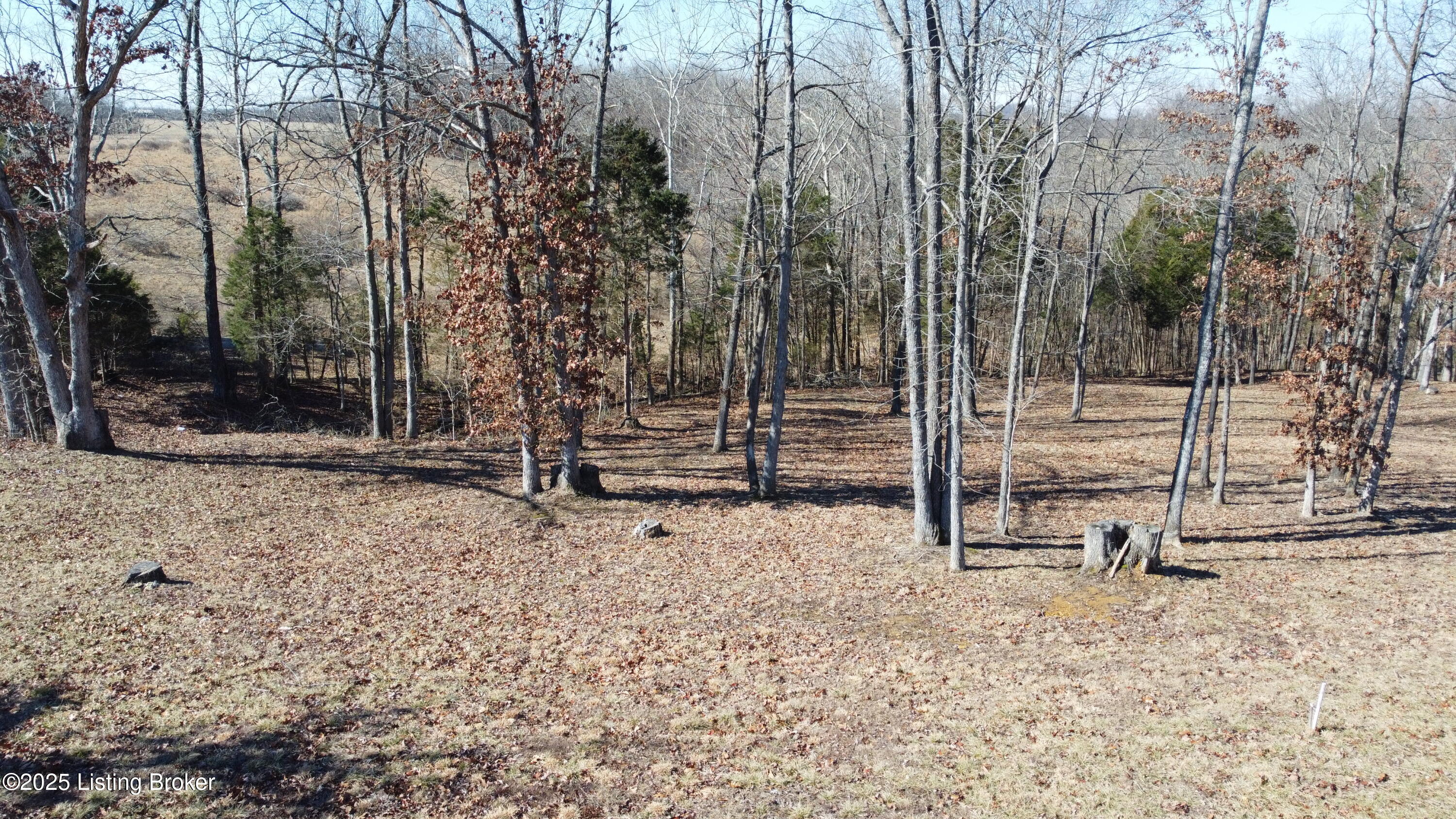 Lot 1 Stargazer Ln, Falls Of Rough, Kentucky image 5