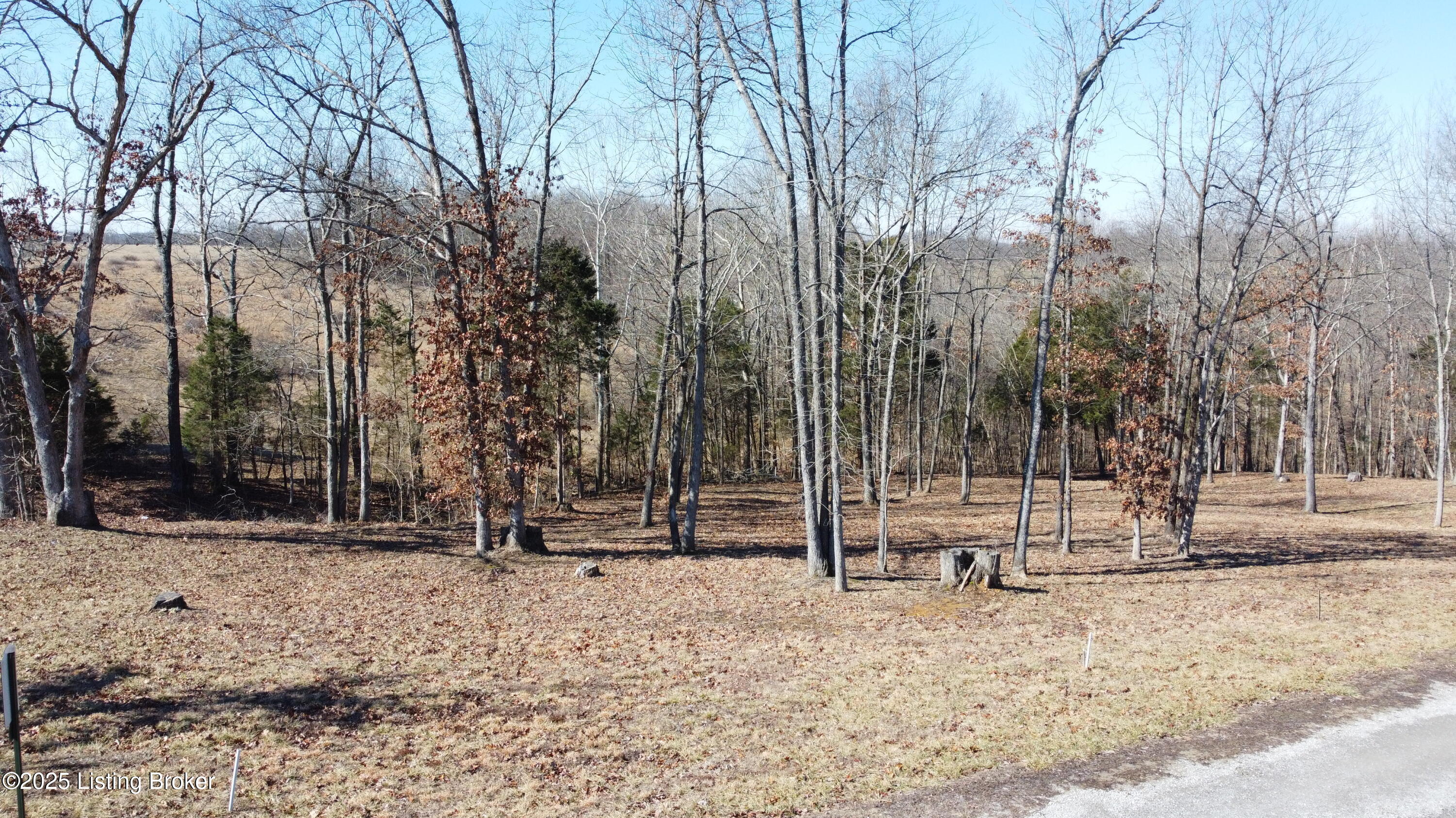 Lot 1 Stargazer Ln, Falls Of Rough, Kentucky image 4