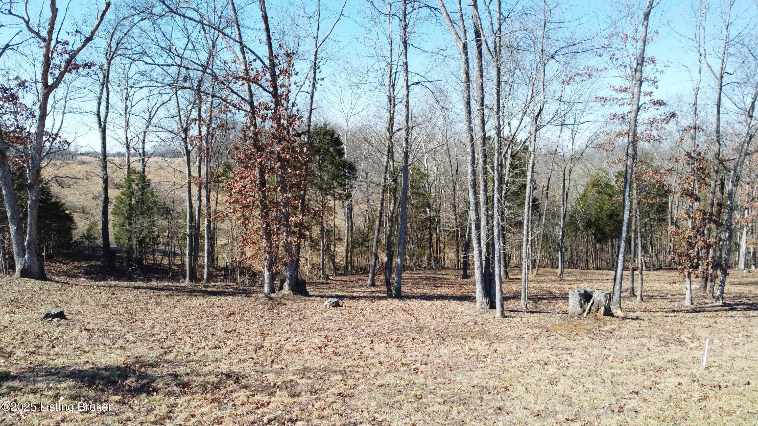Lot 1 Stargazer Ln, Falls Of Rough, Kentucky image 6