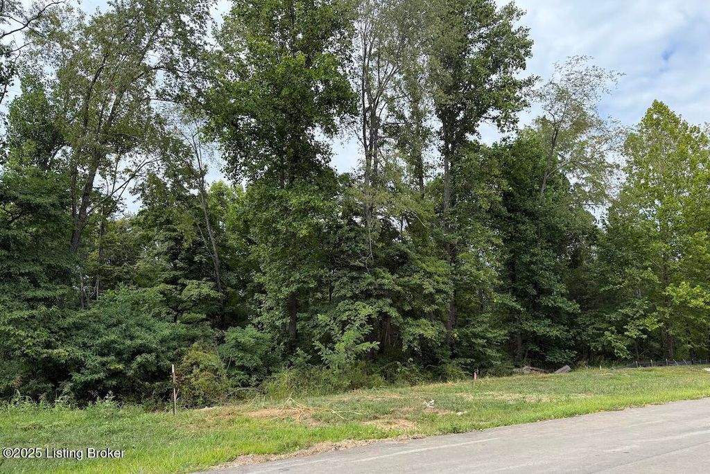 Photo of 5004 Sycamore Ridge Ln, La Grange, KY 40031 (MLS # 1697231)