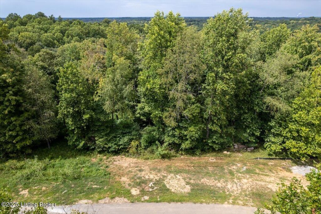 Photo of 5004 Sycamore Ridge Ln, La Grange, KY 40031 (MLS # 1697231)