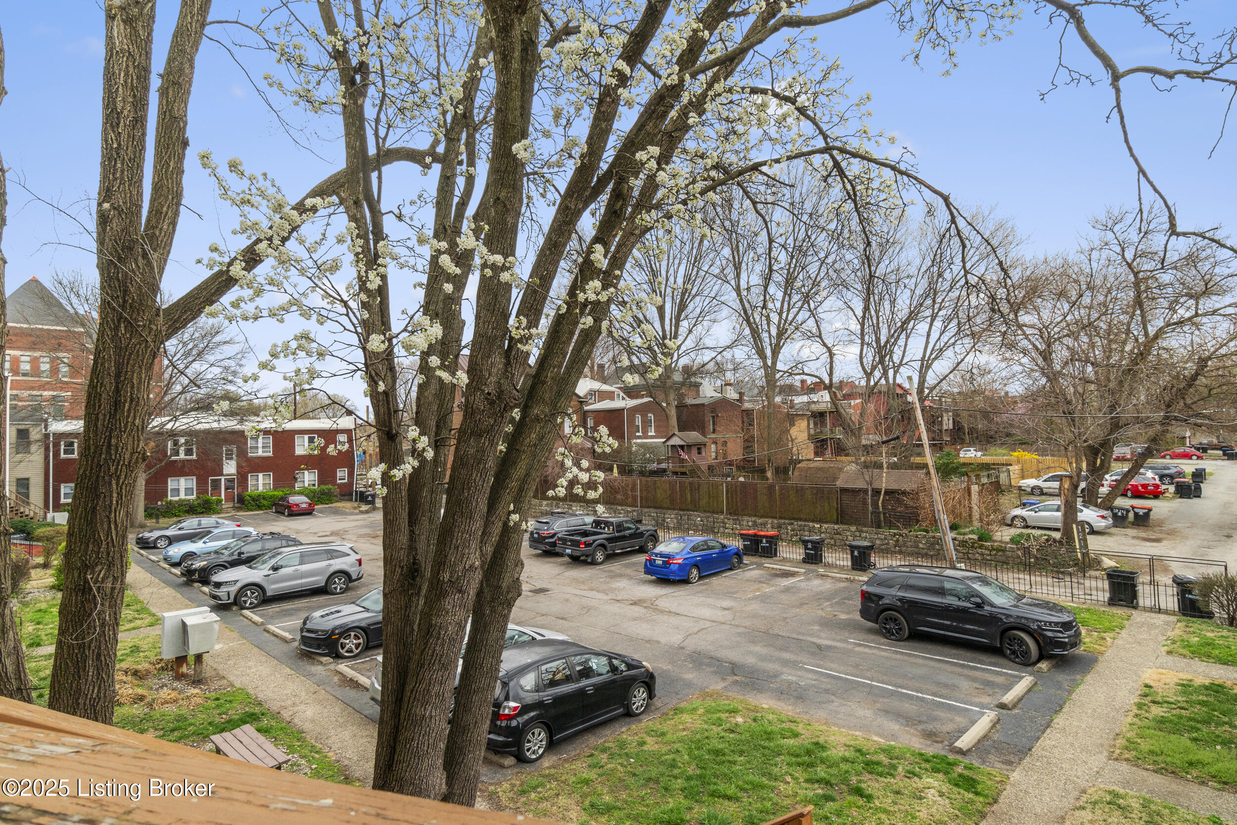 116 E Oak St #APT 2, Louisville, Kentucky image 29