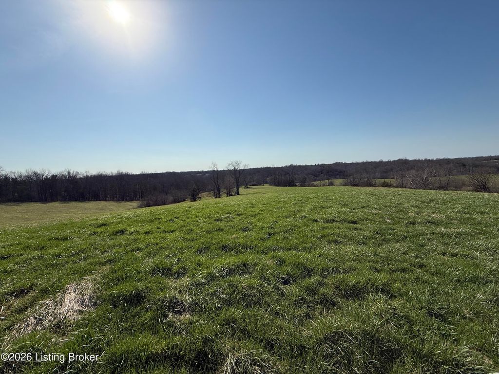 Photo of 1001 Mike Brown Ln, Taylorsville, KY 40071 (MLS # 1712399)