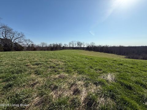 Vacant Land For Sale - 1001 Mike Brown Ln<br/> Spencer County, Taylorsville, KY 40071