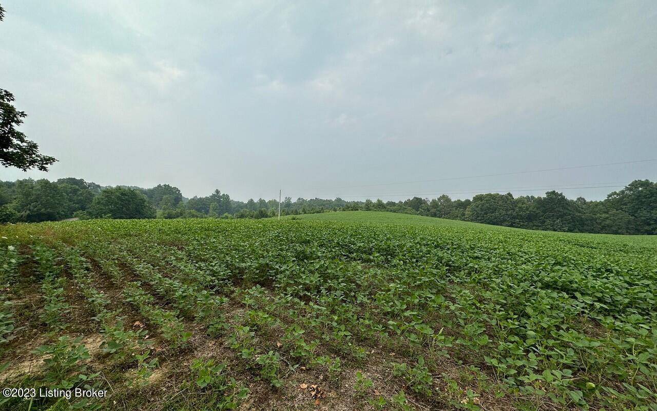 382 Duvall Rd, Caneyville, Kentucky image 4