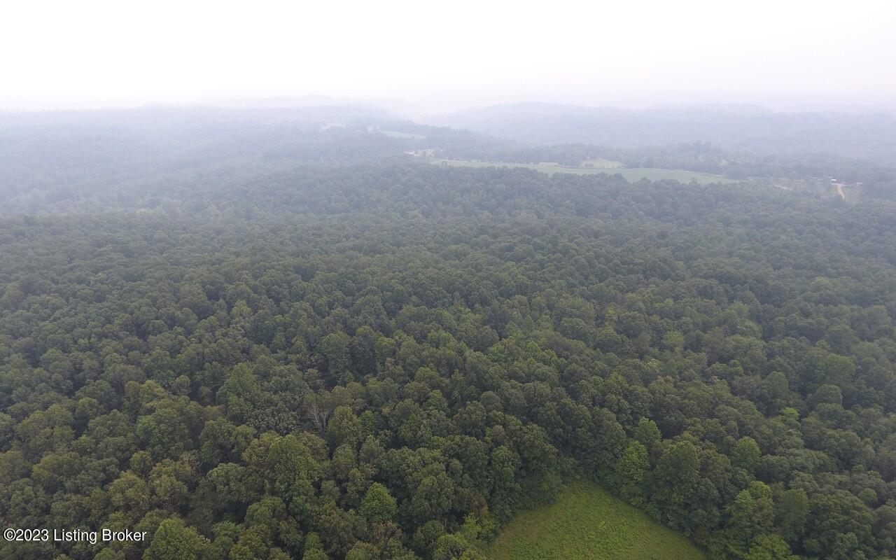 382 Duvall Rd, Caneyville, Kentucky image 13