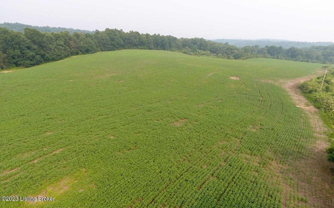 382 Duvall Rd, Caneyville, Kentucky image 7
