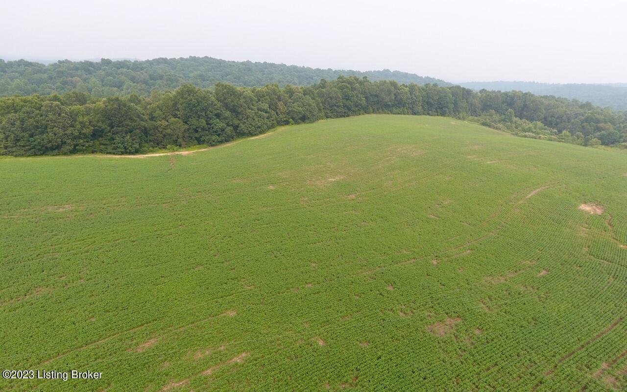 382 Duvall Rd, Caneyville, Kentucky image 6
