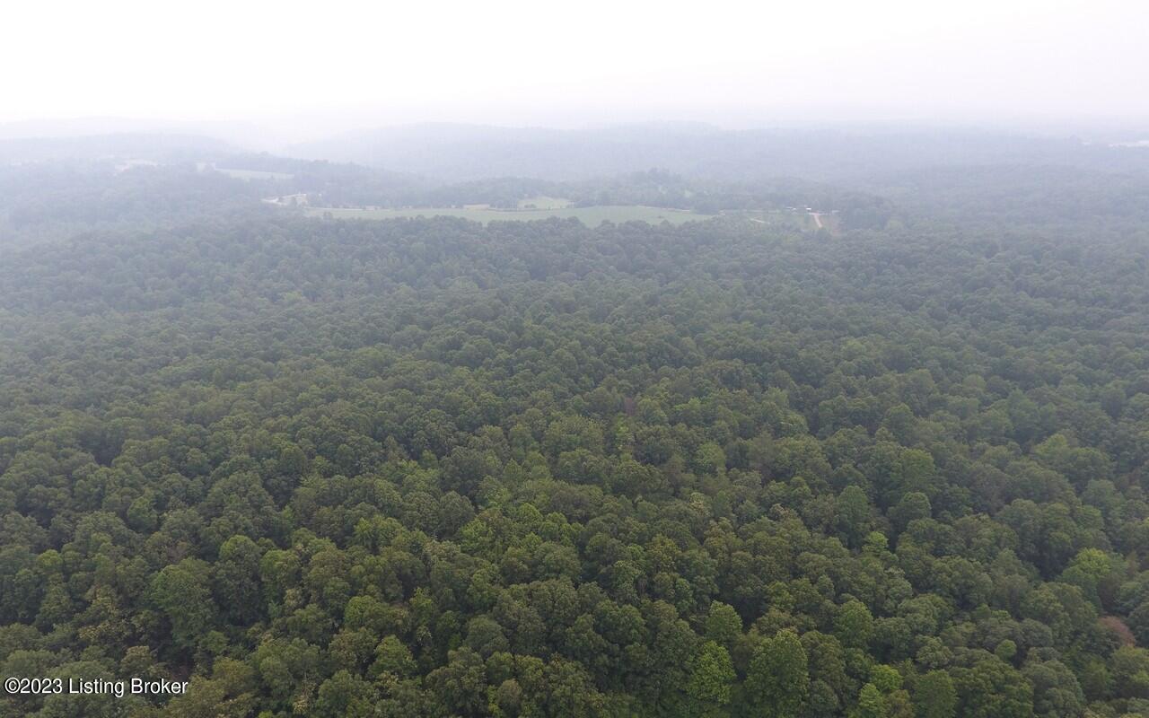 382 Duvall Rd, Caneyville, Kentucky image 12