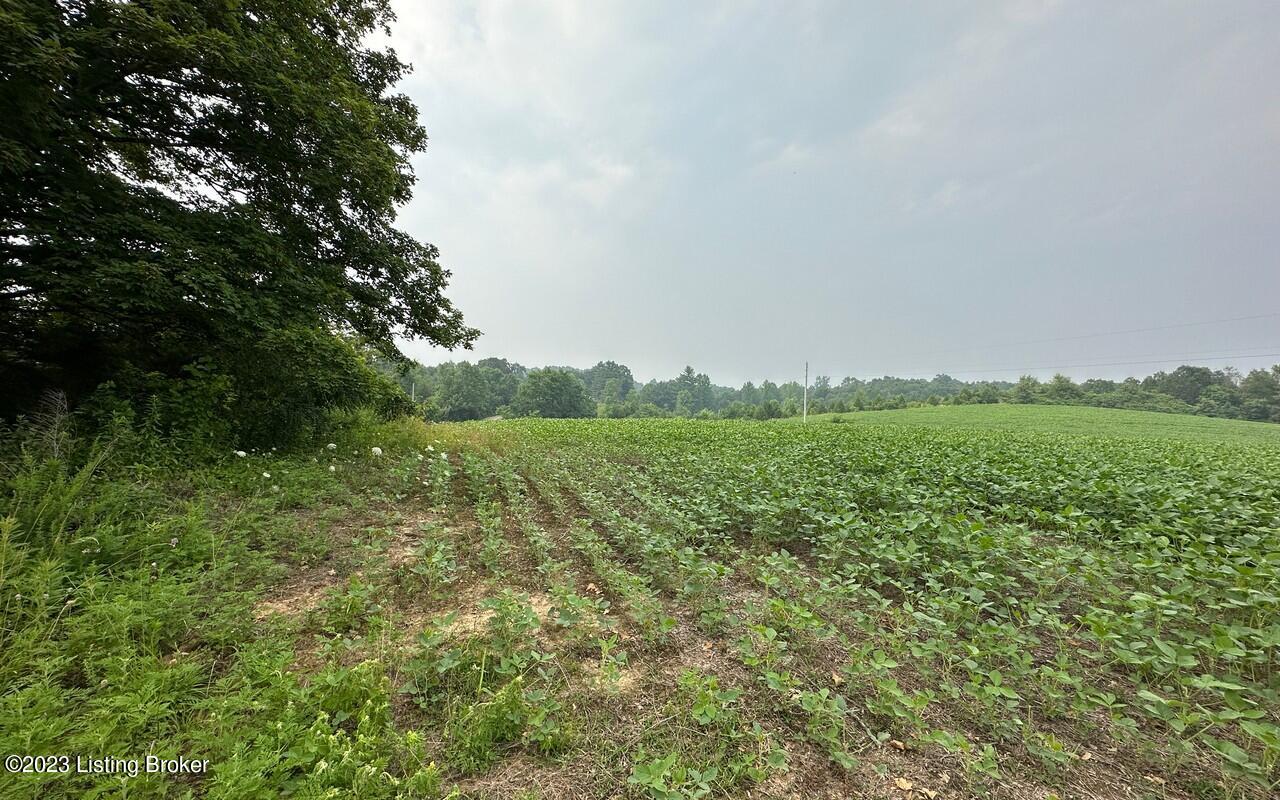 382 Duvall Rd, Caneyville, Kentucky image 3