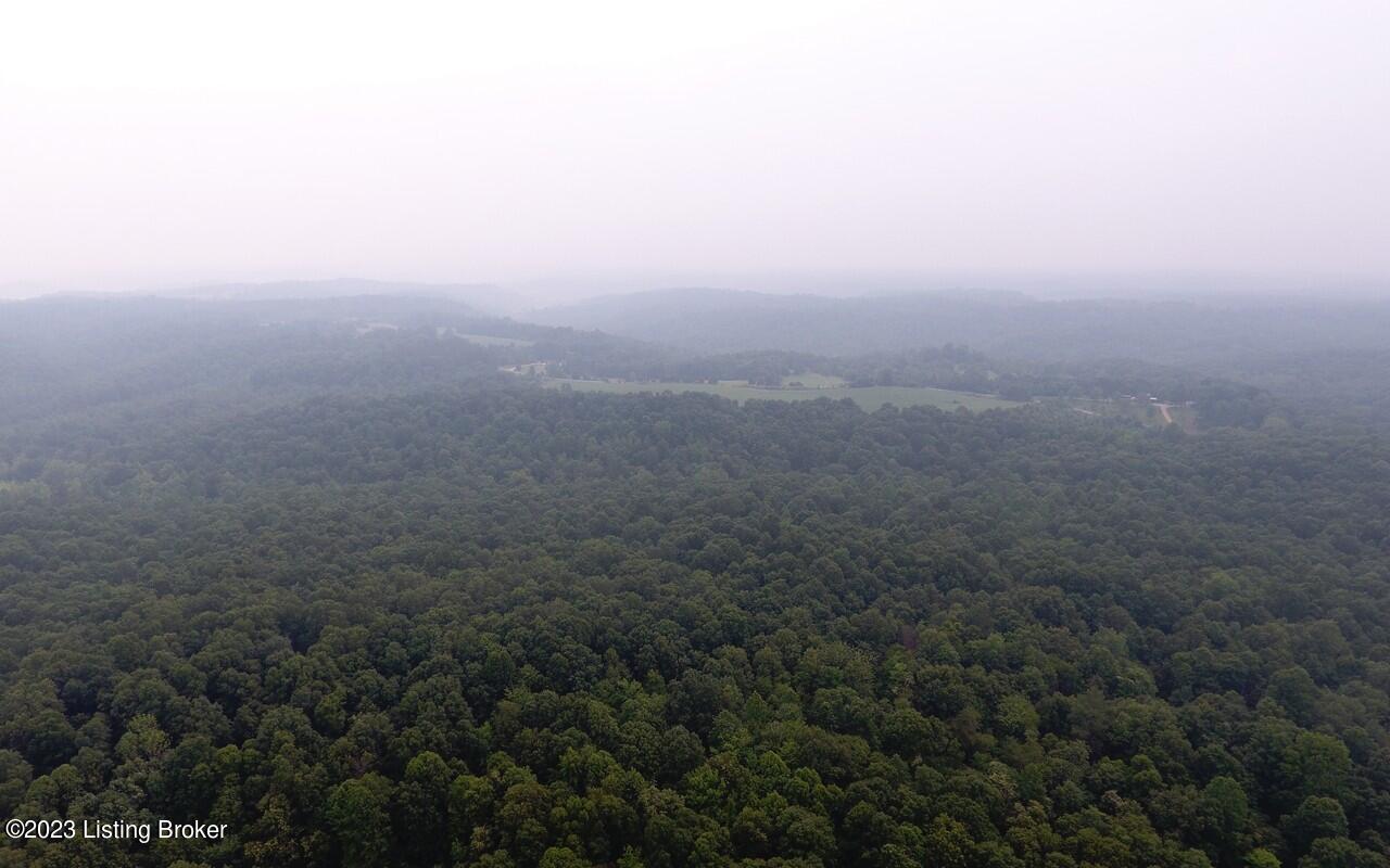 382 Duvall Rd, Caneyville, Kentucky image 11