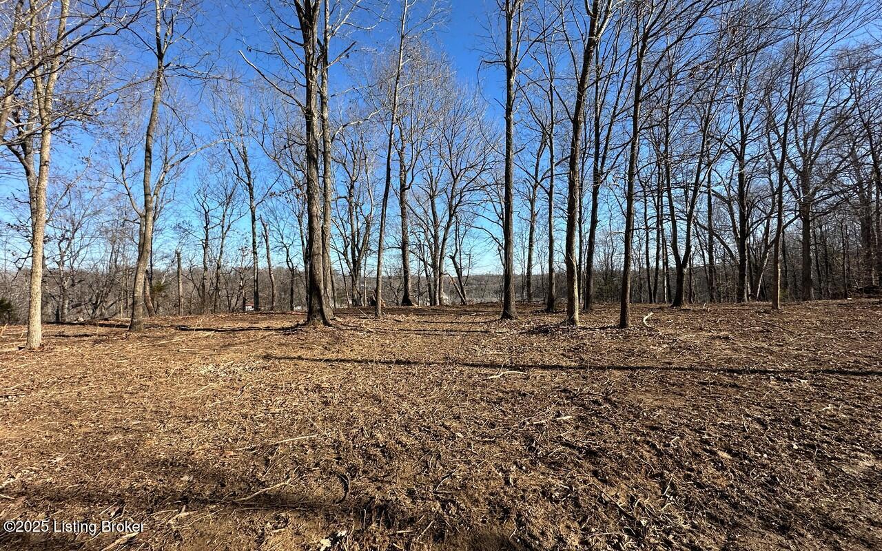 L9 1126 Thomason Cemetery Rd, Leitchfield, Kentucky image 8