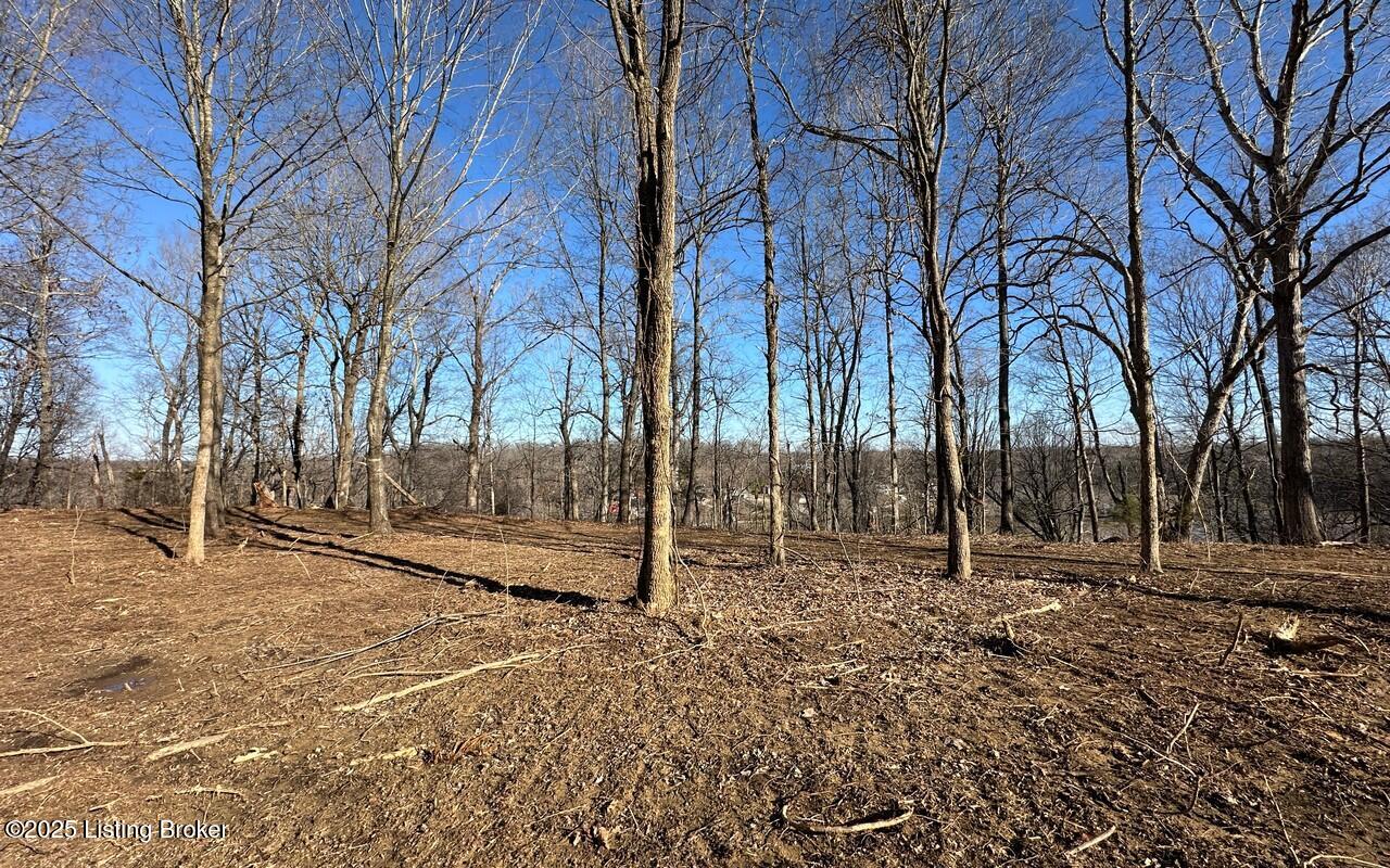 L9 1126 Thomason Cemetery Rd, Leitchfield, Kentucky image 11