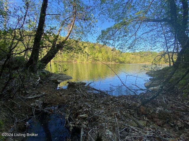 Martin Pierce Rd, Cub Run, Kentucky image 10