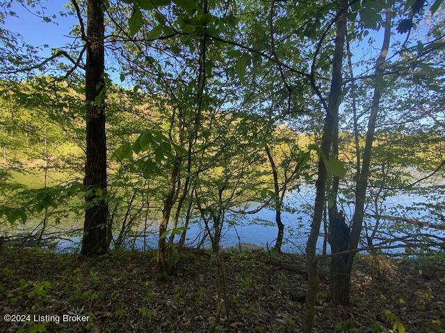 Martin Pierce Rd, Cub Run, Kentucky image 11