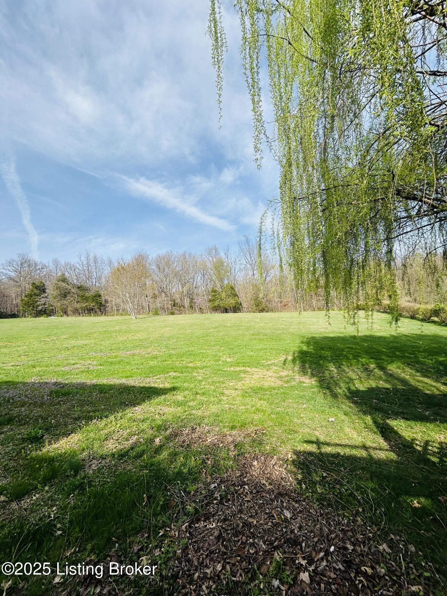 232 Millstead Dr, Ekron, Kentucky image 16