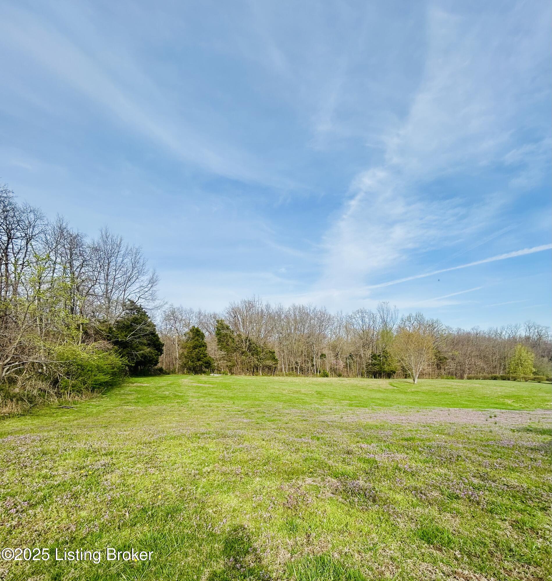 232 Millstead Dr, Ekron, Kentucky image 14