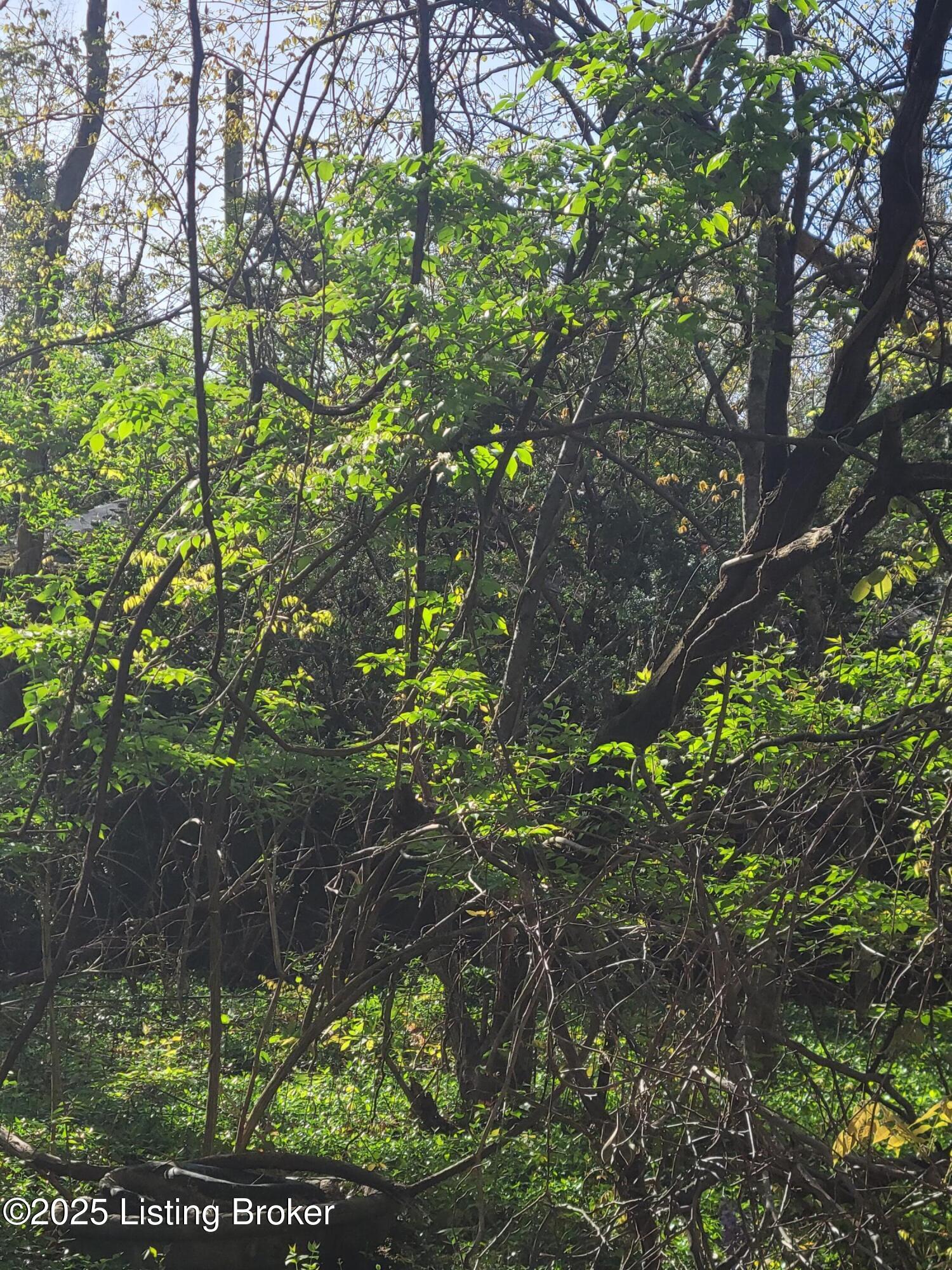 1200 Zoneton Rd, Shepherdsville, Pennsylvania image 12