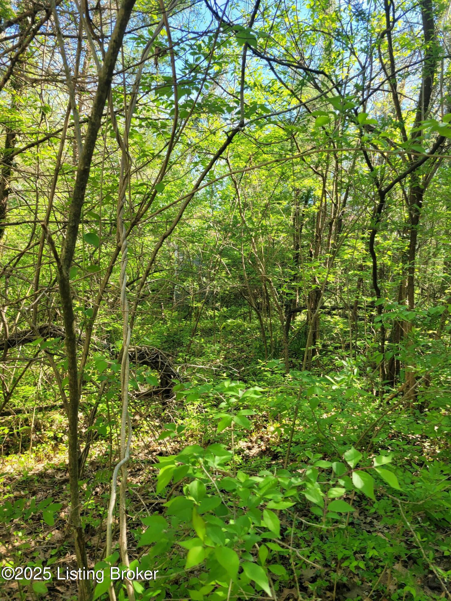 1200 Zoneton Rd, Shepherdsville, Pennsylvania image 17