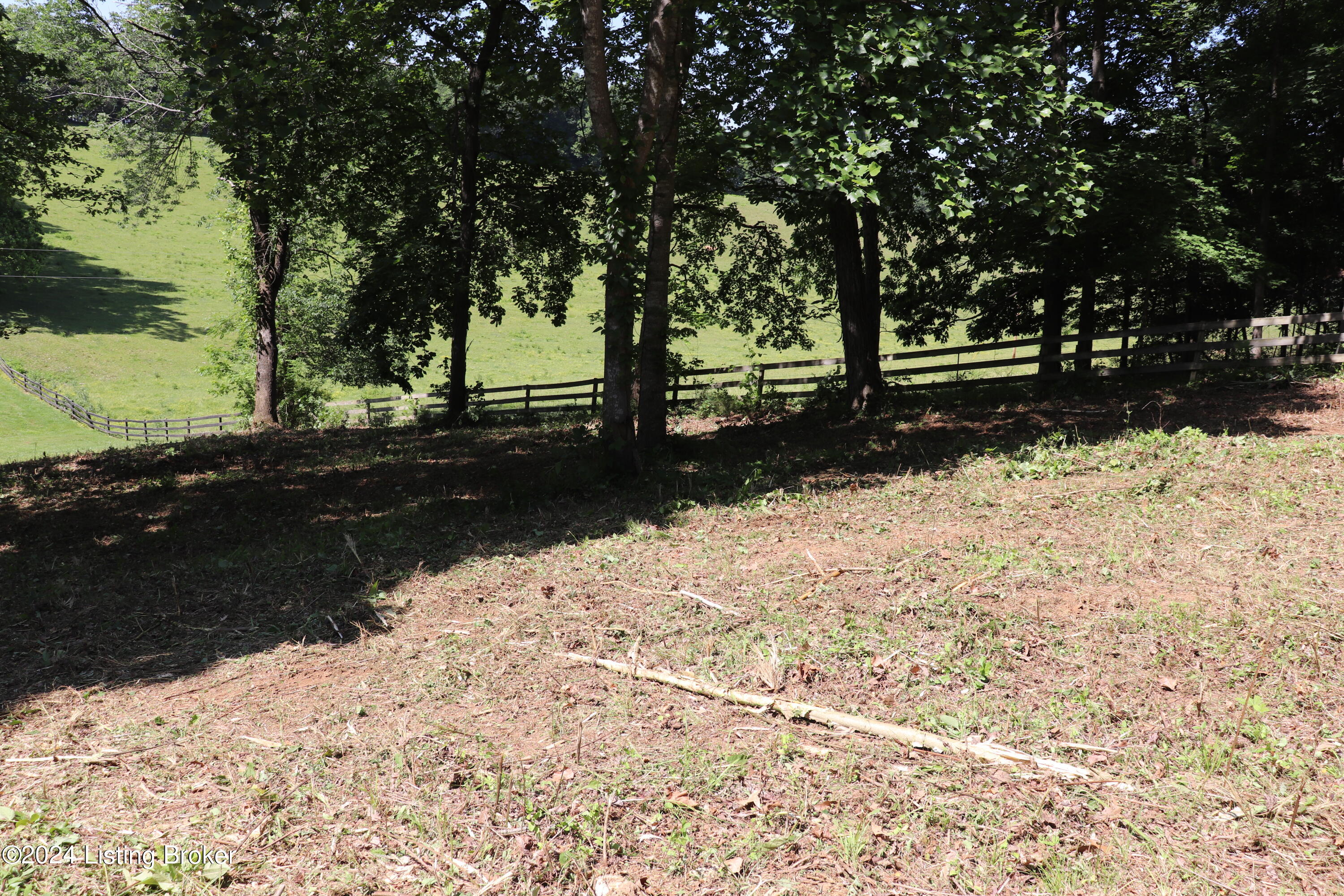 Spring St, Tompkinsville, Kentucky image 3