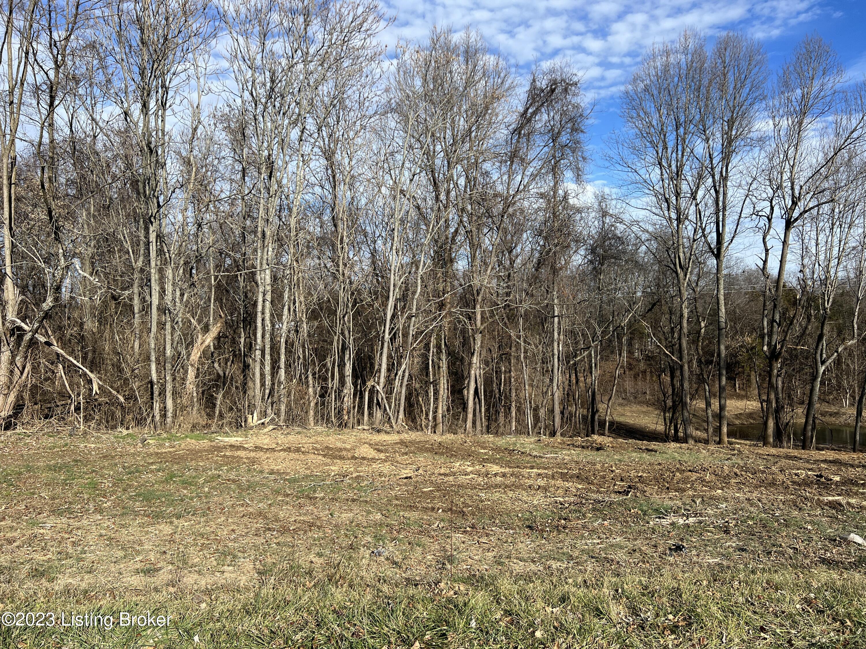 Lot 7A Dogwood Estates, Bedford, Kentucky image 2