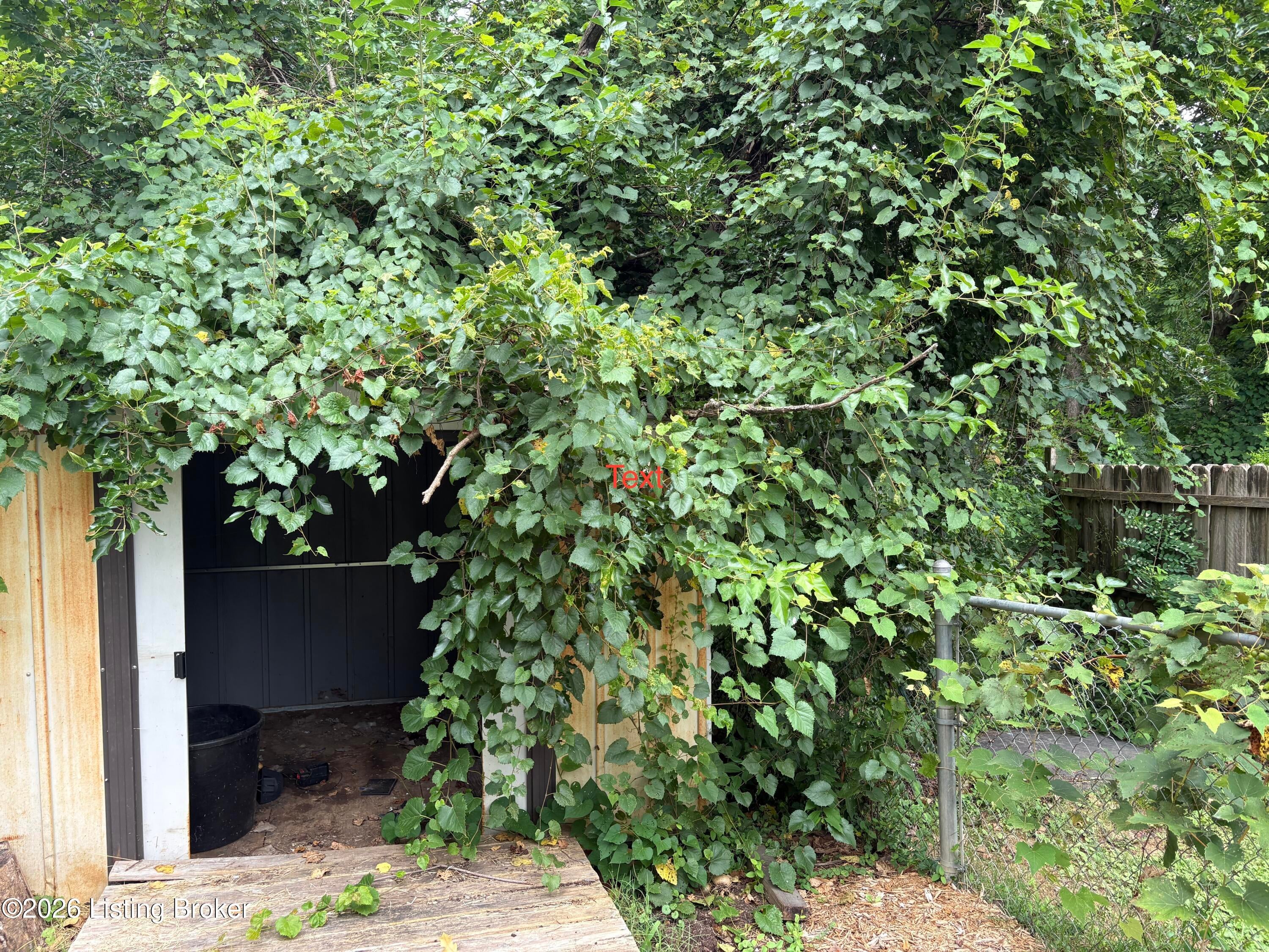 5616 Windy Willow Dr - Photo 2