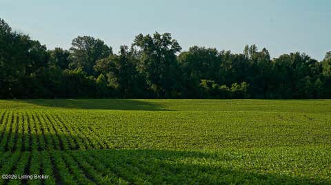 Vacant Land For Sale - Ky-405<br/> Daviess County, Maceo, KY 42355